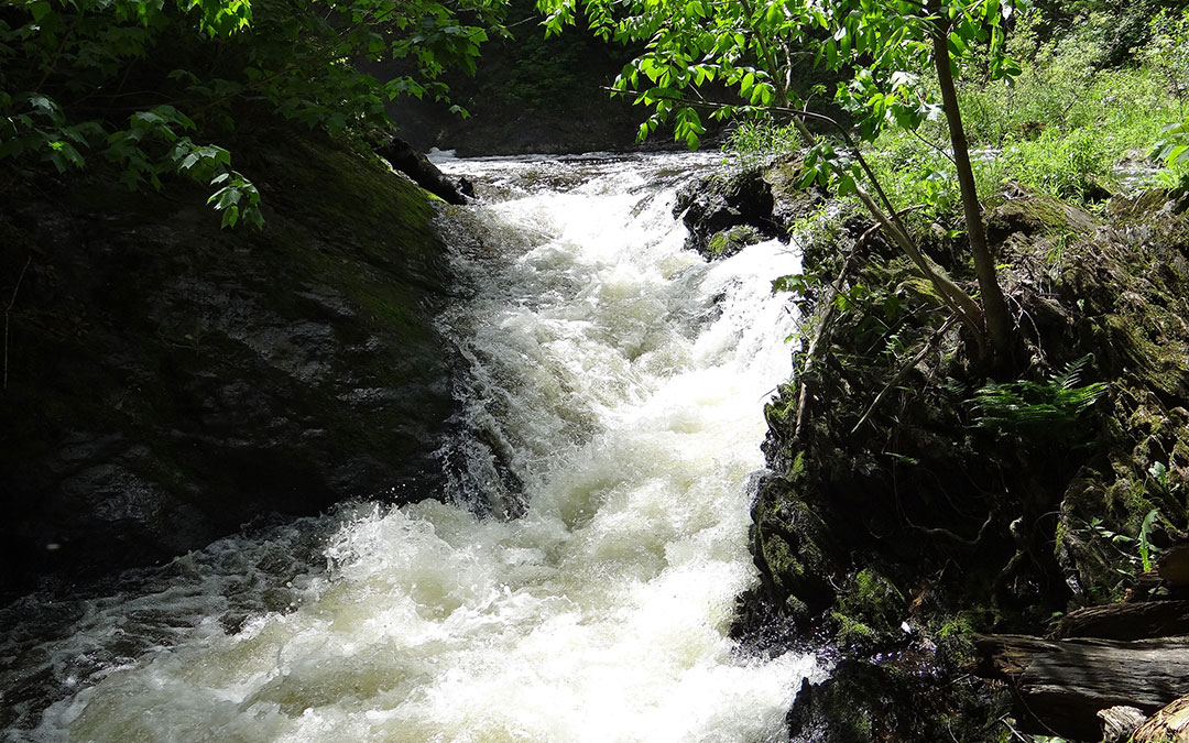 Lower Carp River Falls