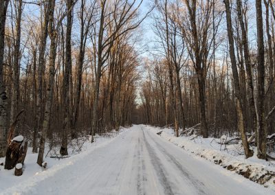 Eben Ice Caves Trail