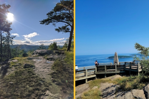 Welcome to NMU AMP fall summer mountain